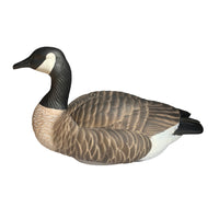 Heyday Lifetime Hydrofoam Canada Goose Decoys